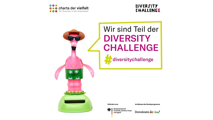 Diversity Challenge Flyer 2021 Flamingo